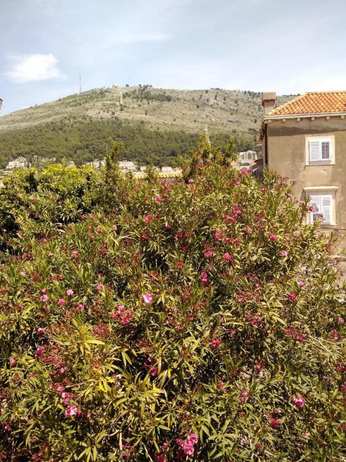 Joy Apartments Old Town Dubrovnik Buitenkant foto